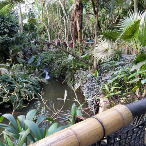 Eden Project St Austell